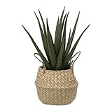 Dimensions : D. 24 x H. 37 cm Paris Prix Atmosphera Créateur d\'intérieur - Plante Artificielle & Pot Aloe Vera 37cm Vert