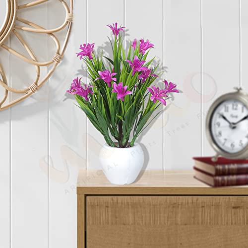 Image of Modo Wheat Grass Artificial Buttercup Flowers Plant with Round Pot for Office,Home,Indoor Decore /Guldasta-21 CM (Purple,1 Piece)