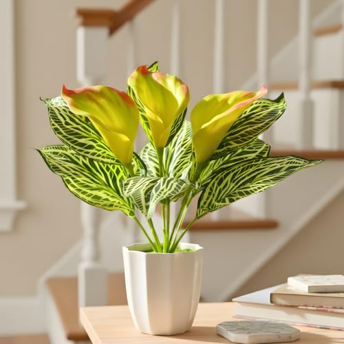 Image of fancymart Artificial Calla Lily Plant with Pot - 30 cm Height Decorative Flower Leaves (Pack of 1) | Realistic Faux Plant for Home & Office Decor | Table, Shelf & Desk Decoration