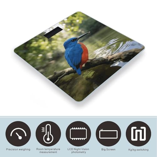 Báscula digital Kingfisher para uso doméstico, hasta 180 kg miniatura 3