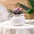 African Violet Pots 6 Inches Ceramic, Effortless Self Watering Pots for Indoor Plants for Busy Plant Lovers, Easy Plant Self Watering Pot, Plant Pots, Flower Pot, Plant pots Indoor