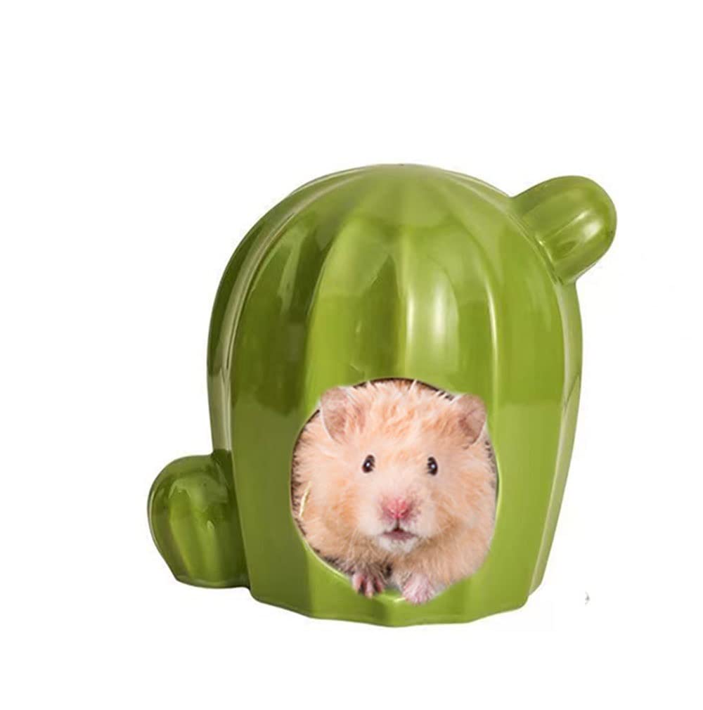 Maison en céramique pour hamster cactus : le refuge d'été idéal des rongeurs
