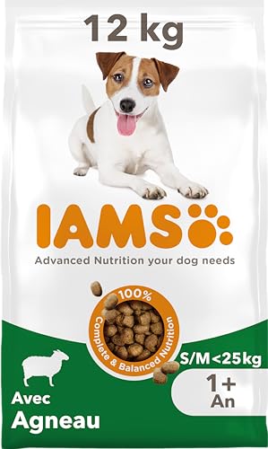 IAMS Advanced Nutrition pour Chien Adulte Petite et Moyenne Races 1 an + - Croquettes 100%...