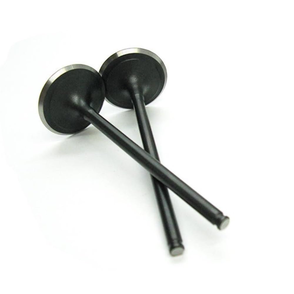 Wanghsdy Intake Valve Intake Exhaust Valve Stem Kit Fit For Kawasaki Klx250 Klx300 Voge300