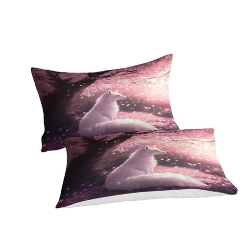 Ensemble de literie 3D renard housse de couette microfine 260x220 - 3