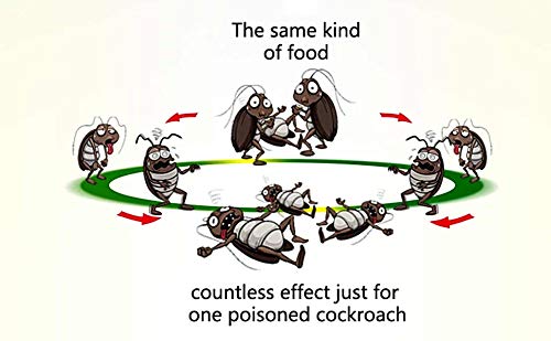 MMR Making Marvelous Marcoz Ultimate Cockroach Killer Gel (Red, Set of 8x10 ml), Pack of 1