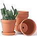Terra cotta pot