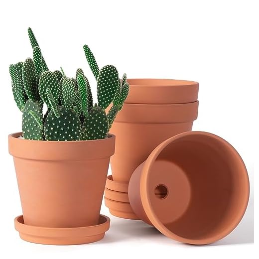 19 Gorgeous Tuscan Kitchen Ideas to Inspire Your Home Decor 4 6 inch Terracotta & Clay Pots for Plants with Saucer, Medium Terra Cotta Plant Pots with Drainage Hole, Flowerpot with Tray, Terracotta Pot for Indoor Outdoor Plant - Pack of 4 Planters