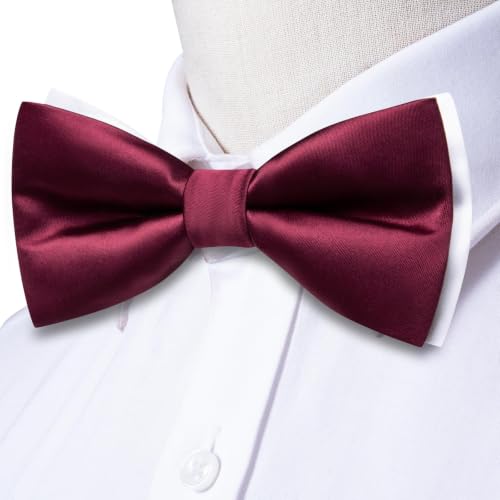 Image of Dubulle Mens Paisley Striped Bowtie Set Pre-tied Bowtie for Men and Pocket Square Set Wedding Business