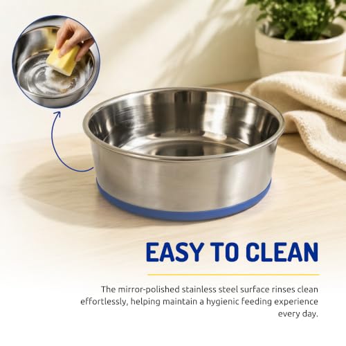 Image of Stainless Steel Dog Bowl with Non-Slip Silicone Base | Food & Water Bowl for Dogs & Puppies | Rust-Resistant, Heavy Duty, Easy to Clean, Anti-Skid Pet Feeding Bowl | Silver & Blue (1 Piece) (250)