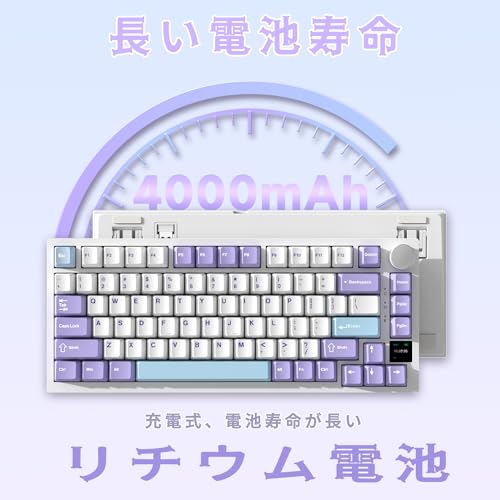 A.JAZZ AK820 Pro の商品画像 6