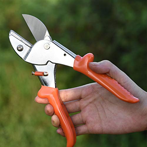 POPETPOP Tesouras de Poda de Jardim Tesouras de Podar Jardim Pruners Árvore Trimmers Jardim Ferramen