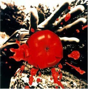 新品 未開封 桑田佳祐 孤独の太陽 CD アルバム Amazon.co.jp: 孤独の太陽: ミュージック