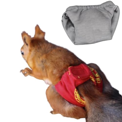Image of Squirrel Diapers-Highly Absorbent with Strong & Flexible Hook and Loop Pants No Leak Reusable Diapers Urine Wet Pants for Squirrel,Fancy Rat,Groundhog (Grey, M)