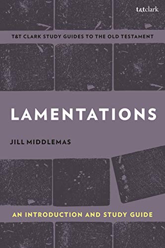 Lamentations view 2