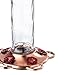 More Birds Glory Hummingbird Feeder, Glass Hummingbird Feeders for Outdoors, 5 Feeding Stations, 13 Ounces
