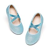 Otter MOMO Toddler/Little Girls Flower Girl Ballerina Flats Shoes Slip-on School Party Blue Dress Shoes Size 10