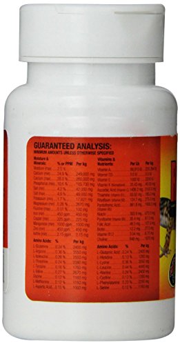 ZooMed Reptivite ohne Vitamin D3, 57g, Nahrungsergänzungsmittel Vitamine für Reptilien