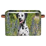 Boîtes de rangement portables : notre organisateur se replie pour un rangement rapide. Lorsqu'il n'est pas utilisé, il peut être plié pour économiser de l'espace. Les motifs personnalisés vous permettent de vous démarquer.