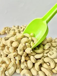 Flavorr Whole Crunchy Cashews | Premium Kaju nuts | Nutritious & Delicious | Gluten Free & Plant based Protein Cashew Nut W320 | 250 Gm (Pack Of 2)