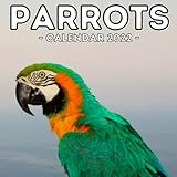 Parrots Calendar 2022: 16-Month Calendar, Cute Gift Idea For Bird Lovers Women & Men