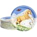 Disposable Plates - 80-Count Paper Plates, Horse Birthday Party Supplies for Appetizer, Lunch, Dinner, and Dessert, Kids Birthdays, 9 Inches in Diameter