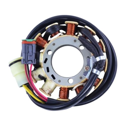 Bobine de stator de moto 410922915 pour régler les pannes de démarrage