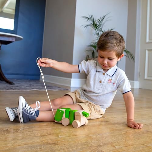 EverEarth Pull Along Dog EE32588