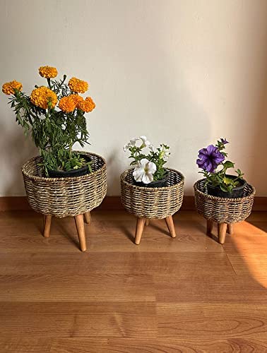 See full amazon price history chart for The Advitya Plant Stand for Balcony Handmade Twisted Jute Rope Planters Highly Durable Plant Container Gamla for Indoor Home Decor & Outdoor Garden/Living Room/Bedroom Set of 3 The Advitya Plant Stand for Balcony Handmade Twisted Jute Rope Planters Highly Durable Plant Container Gamla for Indoor Home Decor & Outdoor Garden/Living Room/Bedroom Set of 3 (B0C1KZ3LLK) Amazon Price History, Amazon Price Tracker
