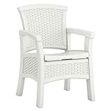 Suncast Elements BMDC1400WD Dining Chair with Storage, White