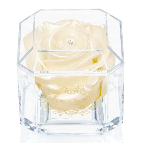 Eternal Petals A 100% Real Rose That Lasts Years, Handmade in UK - Gold Solo with A Multicolour Crystal (Champagne Satin)