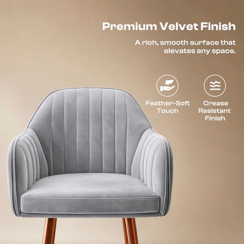 Image of Vergo Plush Velvet Dining Chair, Cushion Seat, Wooden Frame, Metal Legs, Premium Accent Chair for Dining & Lounge Chair for Living Room, Bedroom & Balcony (Set of 4, Light Grey)