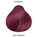 L'OREAL TECHNIQUE Chroma True Reds Permanent Hair Color - Red Dye For Long-Lasting Color, For Light, Dark and Gray Hair, Garnet
