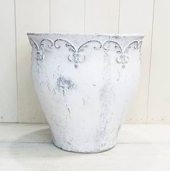 アンティーク鉢 Amazon | 植木鉢 おしゃれ アンティーク 陶器鉢 ブランシェ