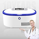 AILZNN Mini Dispositivo di Raffreddamento Dell'insulina, Scatola Refrigerata Insulina Portatile, Frigorifero per Medicina Mini Frigorifero Intervallo di Temperatura 2-25°C, 22×12×10cm(9×5×4Inch)