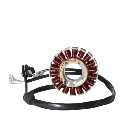 Bobine de stator alternateur WR250 WR450F YZ250FX pièces moteur moto