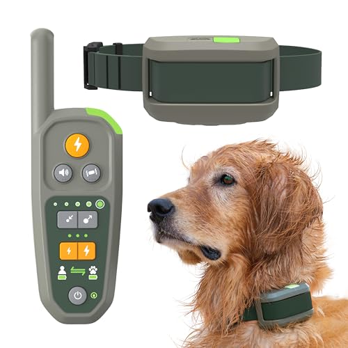 Smart Leash For Dogs Reviews