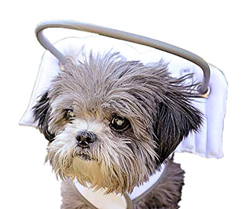 Muffin's Halo Guide for Blind Dogs - White Angel Wings (XX-Small)