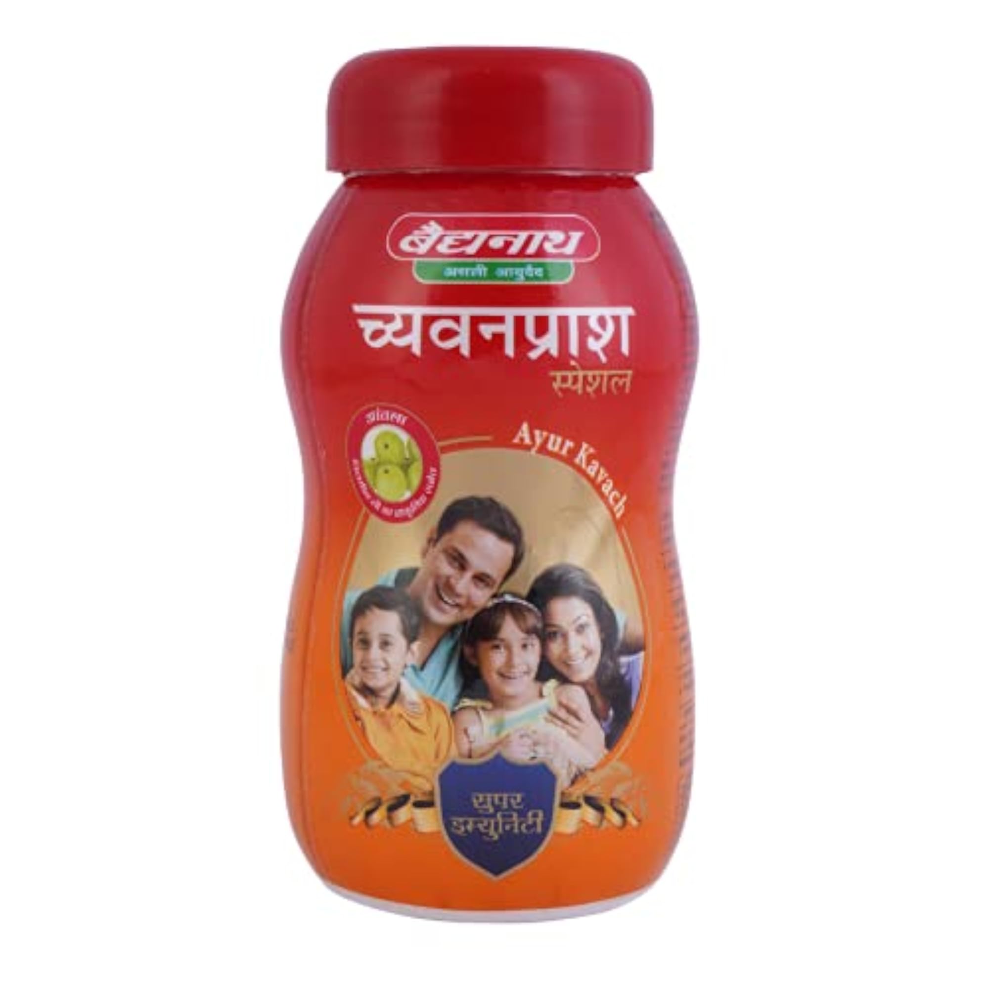 Baidyanath Jhansi Chyawanprash Special, 500g