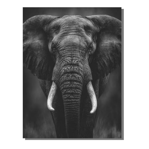 �������G ���� �����h��G (�t���[�����X) ��l�̎q���̂��߂̃M�t�g �Ńy�C���g ���S�Ҍ��� �L�b�g�Ńy�C���g �f�W�^�����G �� 50 x 70 cm �u���V��36�A�N�����G�̋�����Ă��܂� DIY Paint by Numbers ���r���O���[�� �C