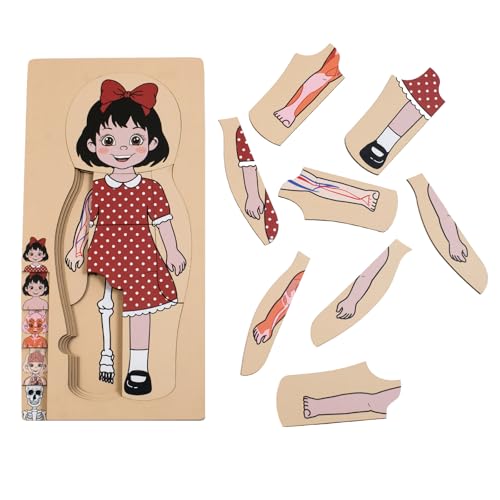 As minhas partes do corpo quebra-cabeças para crianças pequenas meninos Montessori quebra-cabeças de anatomia de madeira 3-5 anos de idade pré-escolar jogo educativo corpo humano brinquedo cognitivo (Yuri