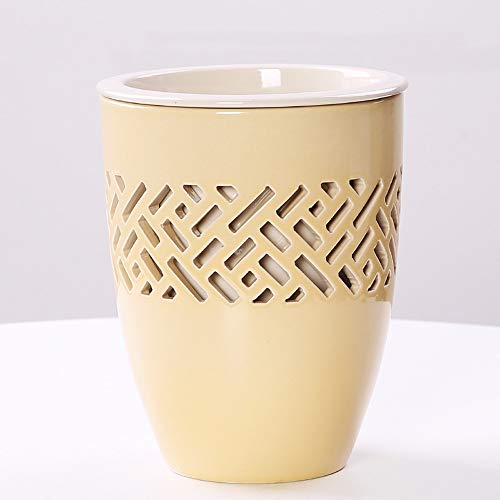 Absorption automatique de l'eau avec ce pot de fleur non poreux moderne