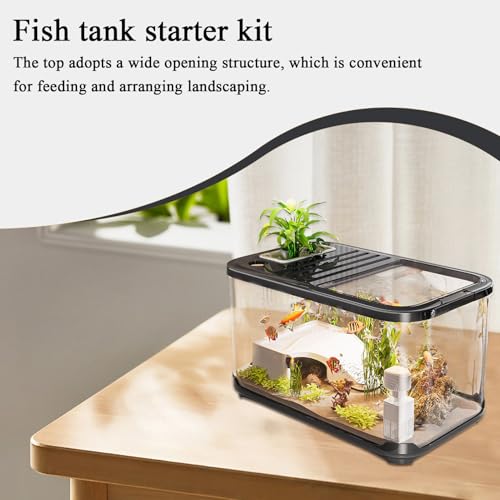 Aquarium kit complet avec escalier pour tortue et crevette - 8