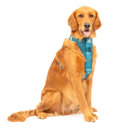 Kurgo Enhanced Strength Tru-Fit Dog Car Harness - Pet Travel Safety Harness - Crash Test Certified Fit - Five Point Adjustment - Secure Buckle - Padded Chest - Ink Blue - Large - image 8