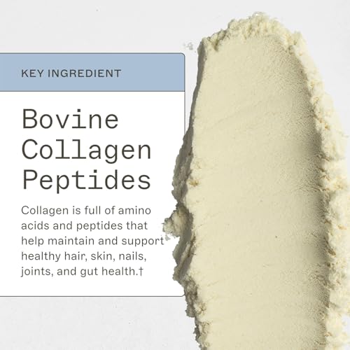Amy Myers MD Paleo Protein Powder