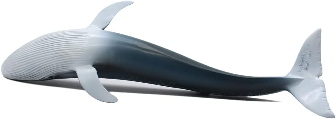 Wei Long Sea Animals Simulation Ocean Whale Toy Model Figures Toy Model Birthrday Gift Party School Project Favors Toys for Kid Boys Girls(Blue Whale)