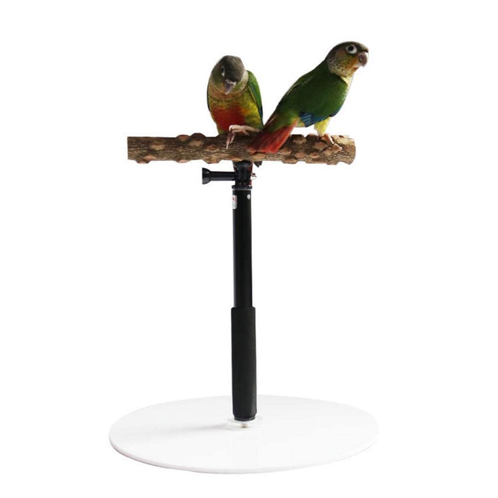 B3F7M4R9J2 Bird perch Parrot Desktop Stand Adjustable Playstand For Bird Pet Training Portable T-ee , Play Perch
