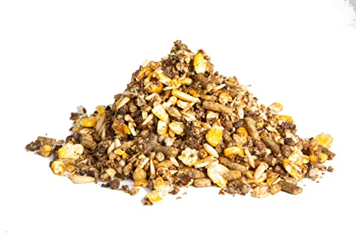 Formula of Champions 1/3 Pro-Grower Show Cattle Feed, 50 lb Bag - Thumbnail 3