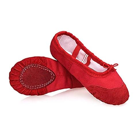 DoGeek Ballet Pumps Flats Ballet Shoes Women Ballet Slippers Pilates Shoes Yoga Shoes Dance Gymnastics Soft Canvas Flat for Children,Adults Cover