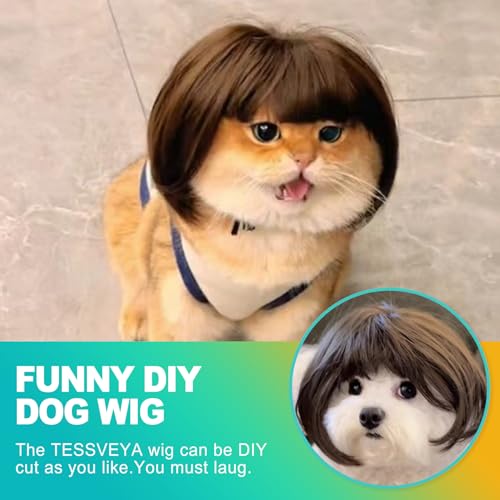 Peluca ajustable para mascotas talla mediana a grande miniatura 5